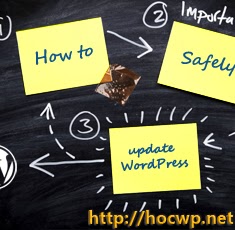 Cập nhật WordPress an toàn