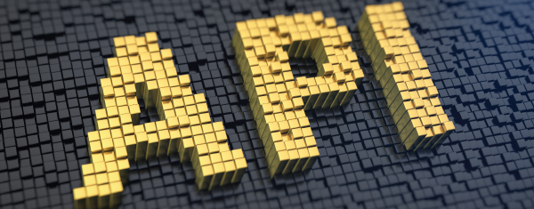 WordPress JSON REST API