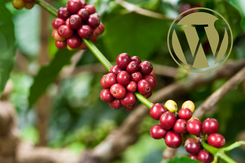 Thiết kế web WordPress cà phê