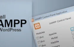 Cài đặt XAMPP học WordPress
