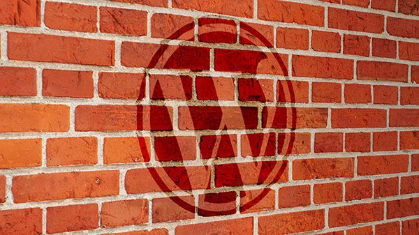 WordPress đang phát triển