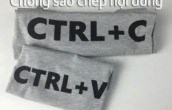 Chống sao chép nội dung trên blog và website