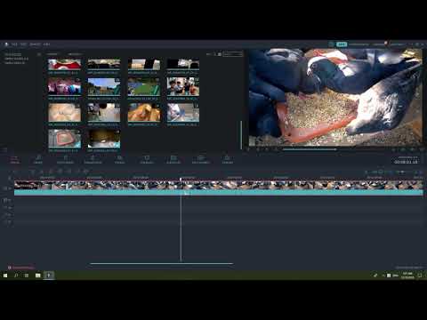 Hướng dẫn chỉnh sửa video bằng phần mềm Wondershare Filmora