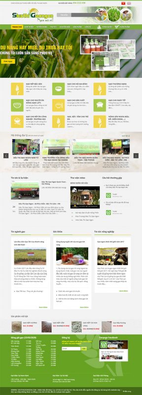 Website bán hàng Siêu thị gạo ngon