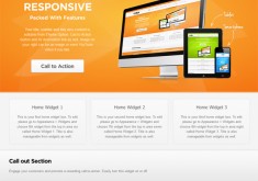 Dạy học WordPress tại Đà Lạt