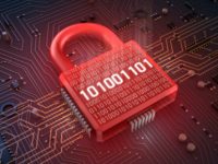 Bộ nhân WordPress không chứa virus