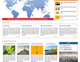 Hỗ trợ doanh nghiệp