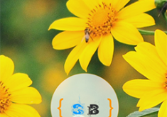 Cài đặt SB Core và sản phẩm của SB Team