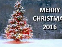 Merry Christmas and Happy New year 2016
