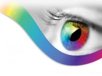 Thị trường thiết kế website Đà Lạt