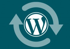 Cập nhật WordPress bằng tay