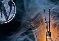 Không nên dùng WordPress Tiếng Việt